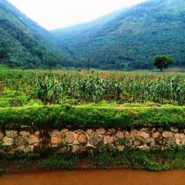 Learning about Conservation in Rwanda